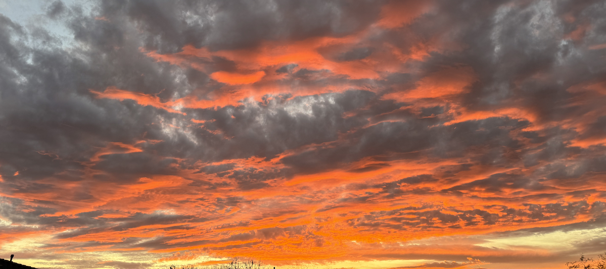 Reflecting Back on 2025